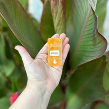 Load image into Gallery viewer, Mildly Anxious Hair Clips