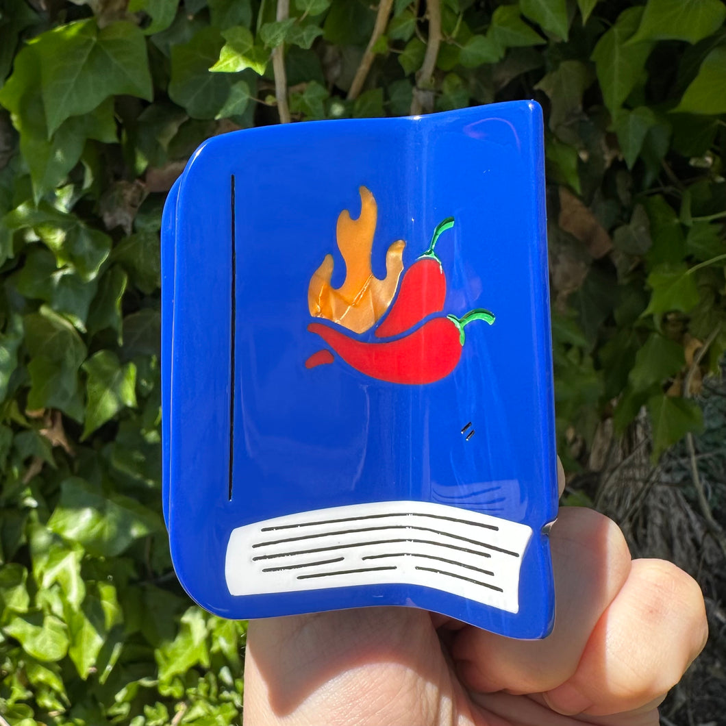 Spicy Book Hair Claw