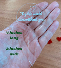 Load image into Gallery viewer, My Life Would Succ Without You Plant Marker
